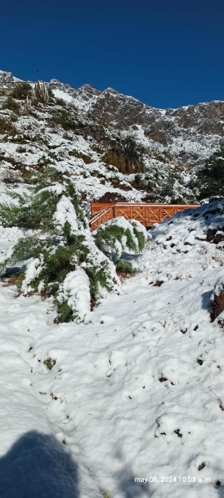 Hostal Los Penones Сан-Альфонсо Экстерьер фото